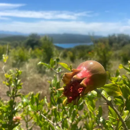 A Malgrana - Tente Insolite * 코티치아바리