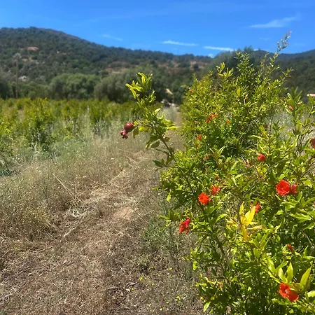럭셔리텐트 A Malgrana - Tente Insolite