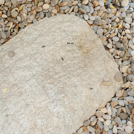 A Malgrana - Tente Insolite * 코티치아바리