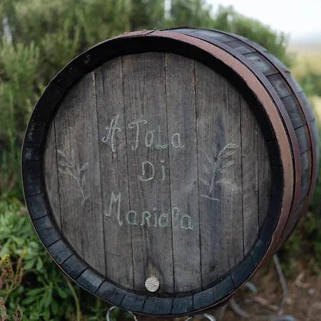 A Malgrana - Tente Insolite *