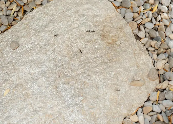 A Malgrana - Tente Insolite * Coti-Chiavari (Corsica)