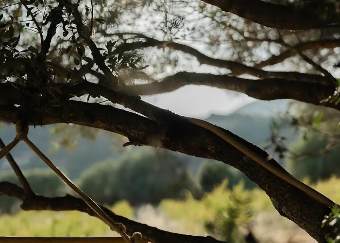 Luxe tent A Malgrana - Tente Insolite Coti-Chiavari (Corsica)