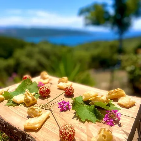 A Malgrana - Tente Insolite Coti-Chiavari (Corsica)