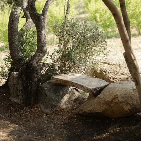 Luxury tent A Malgrana - Tente Insolite *