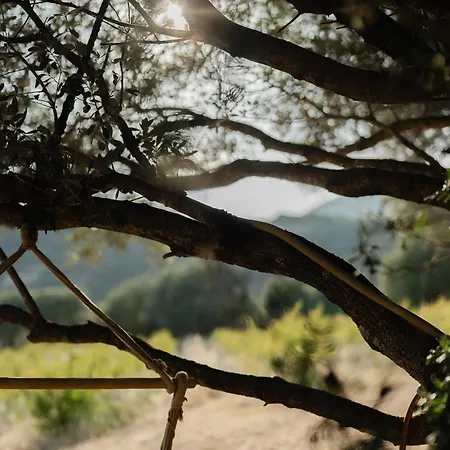Luxury tent A Malgrana - Tente Insolite Coti-Chiavari (Corsica)