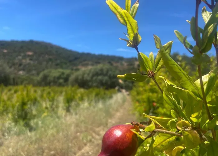 A Malgrana - Tente Insolite * Coti-Chiavari (Corsica)