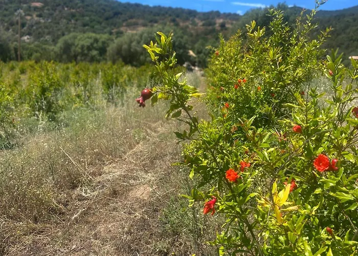 Tente de luxe A Malgrana - Tente Insolite