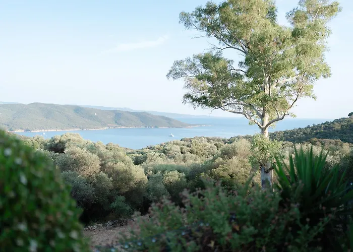 Tente de luxe A Malgrana - Tente Insolite Coti-Chiavari (Corsica)